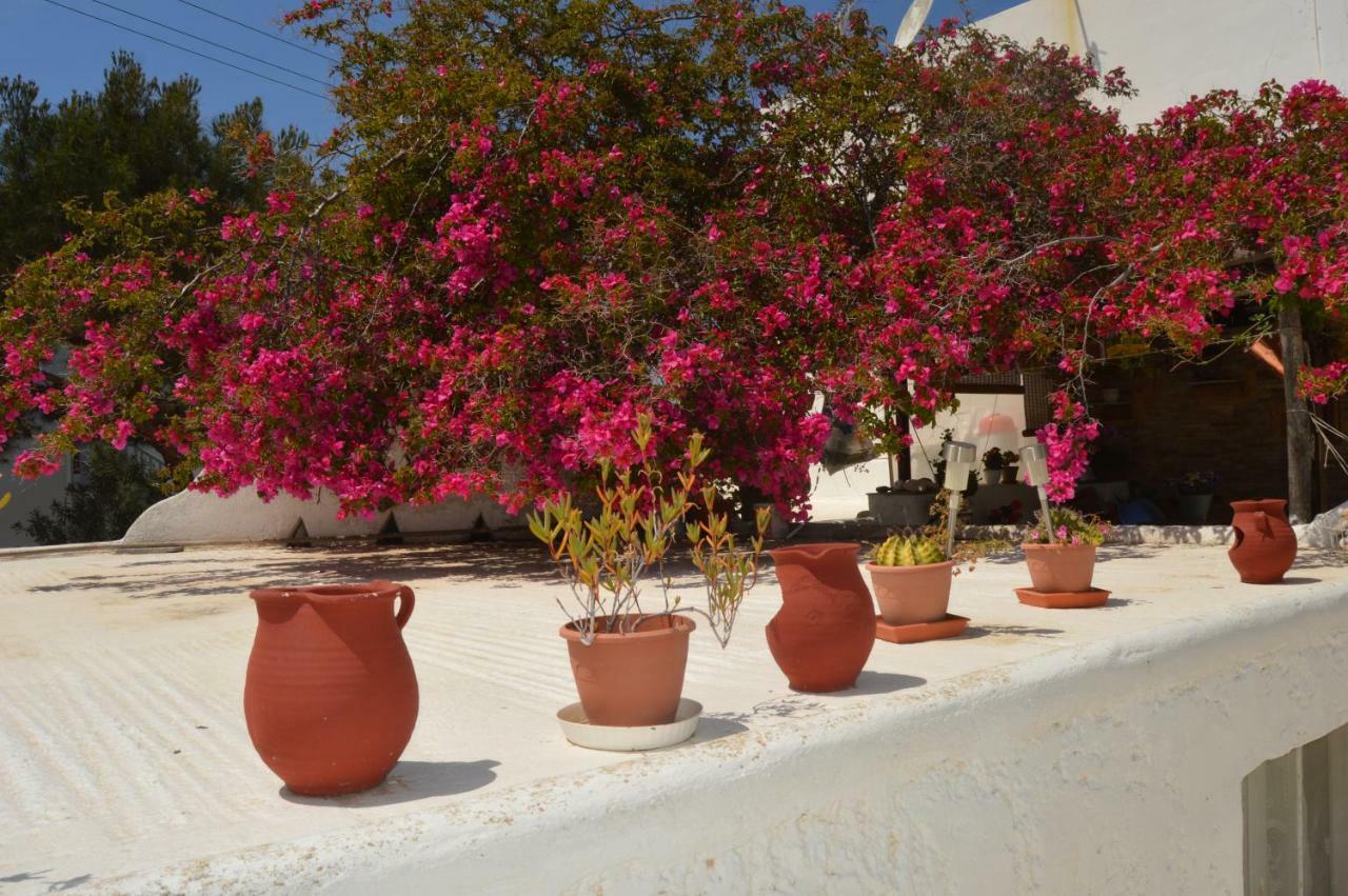 Secret Garden Apartments Mykonos Town Exterior photo